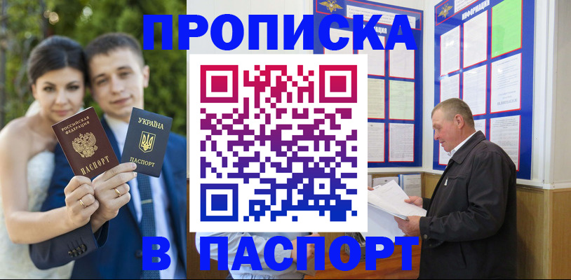 прописка в Бологом